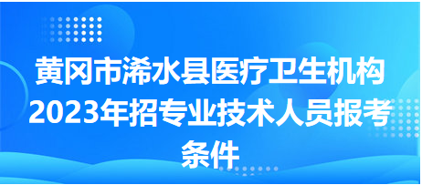 浠水招聘市场概览，最新招聘动态与趋势分析（2017年）